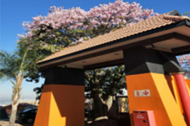 “CA88科技”2018年南非约翰内斯堡医疗器械展