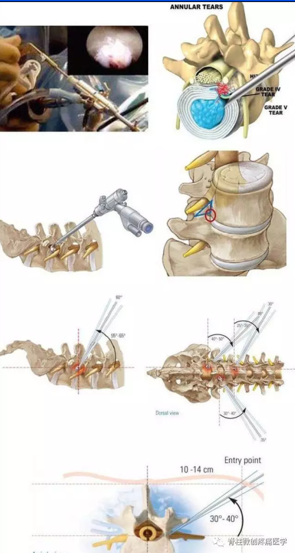 1533716817636141.png 图片35.png