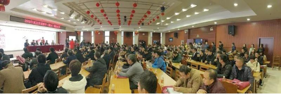 CA88科技射频电刀 CA88科技射频电刀